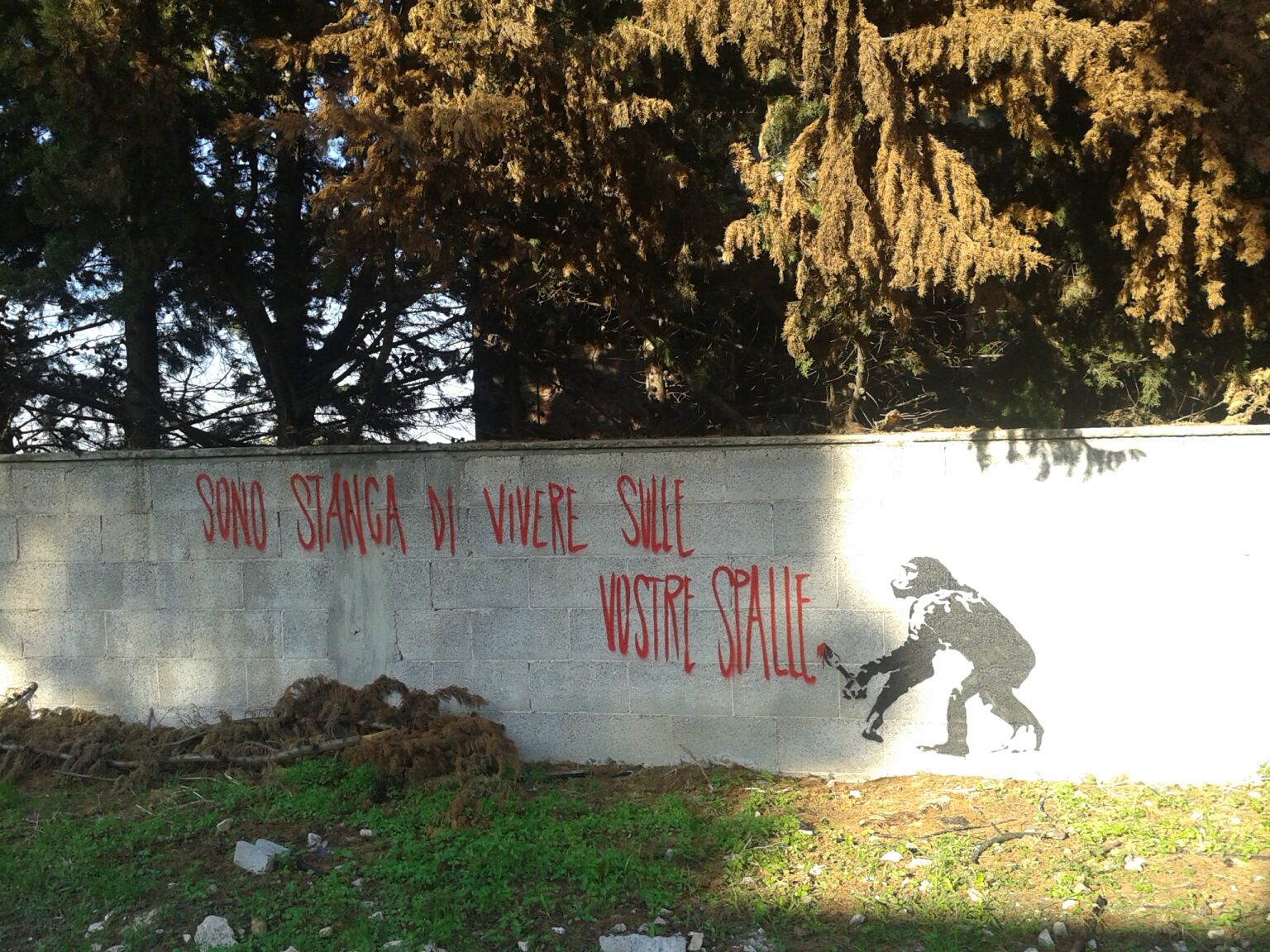 Corso di street art nel carcere di Borgo San Nicola, Lecce